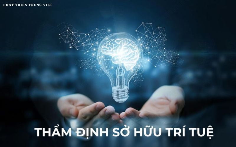 Thẩm định sở hữu trí tuệ (Intellectual Property Due Diligence)